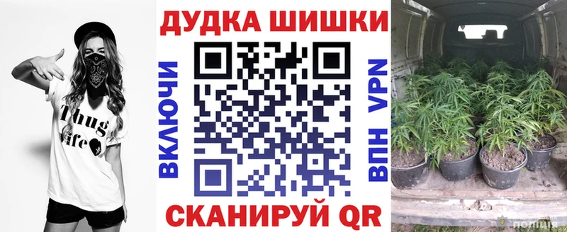 Каннабис Amnesia  Вятские Поляны 